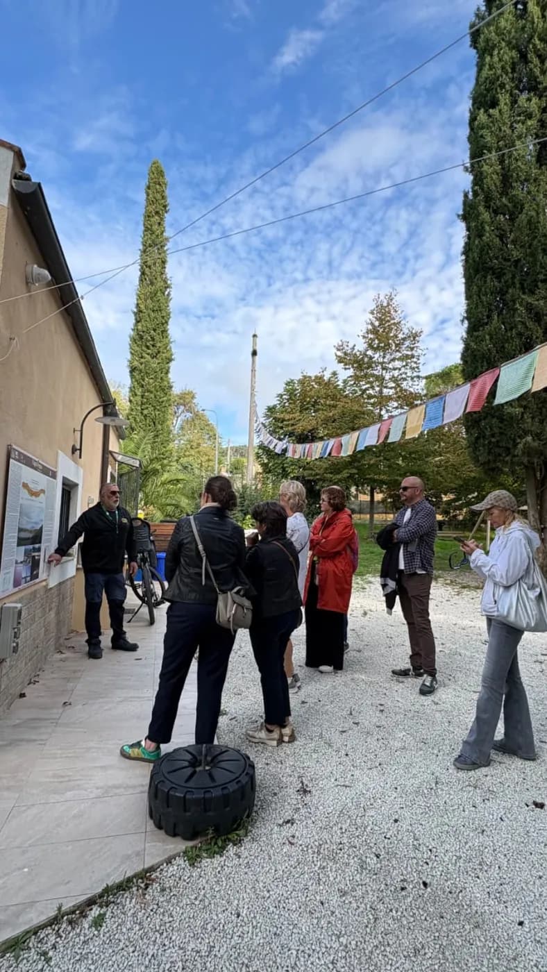In the courtyard, among cypresses and bunting