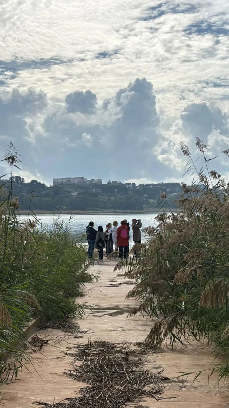 On the lakeshore