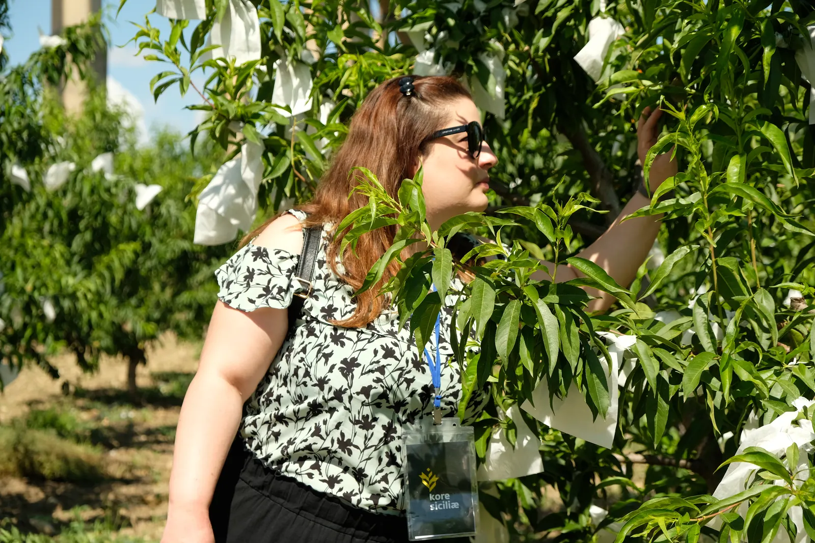 Azienda Agricola Agrirape · Tra i peschi