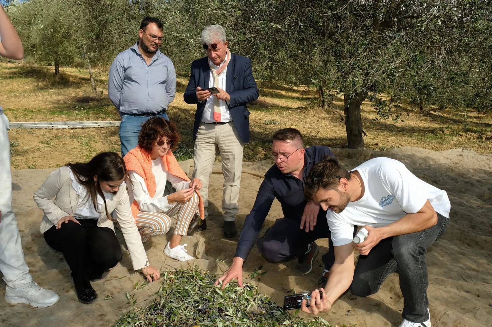 Villa Gerace Azienda Bio · Nell'uliveto