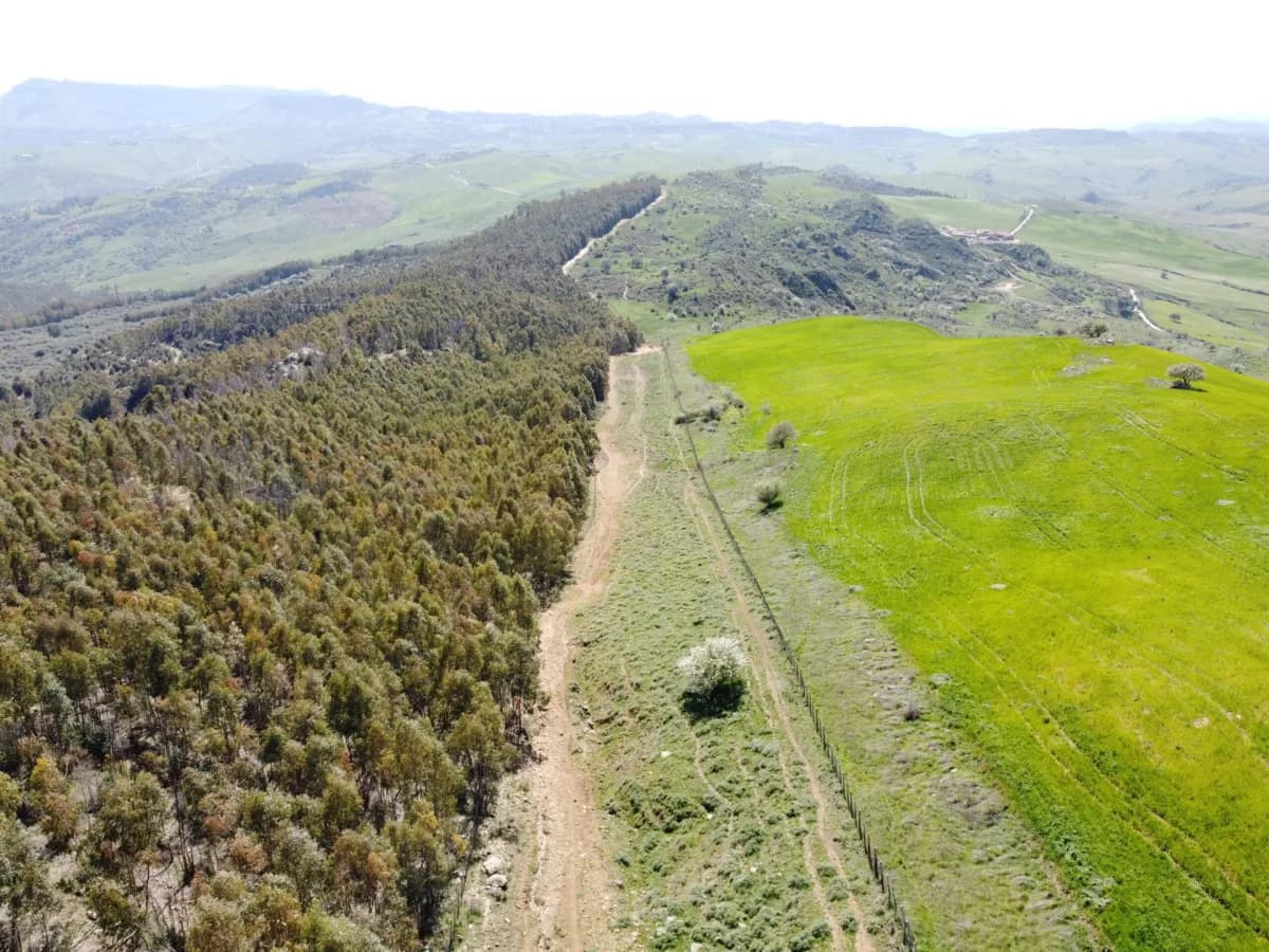 Fin su la vetta: la riserva Monte Altesina