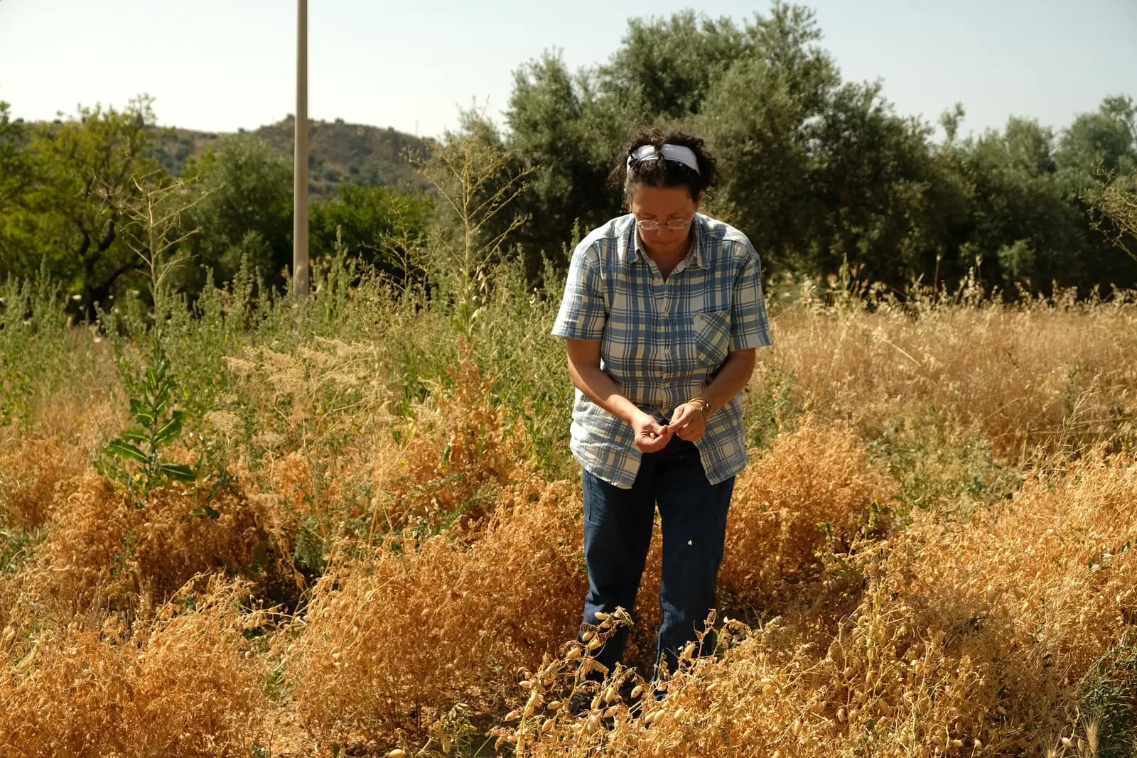 Farmer for a day: recovering and protecting biodiversity · 2