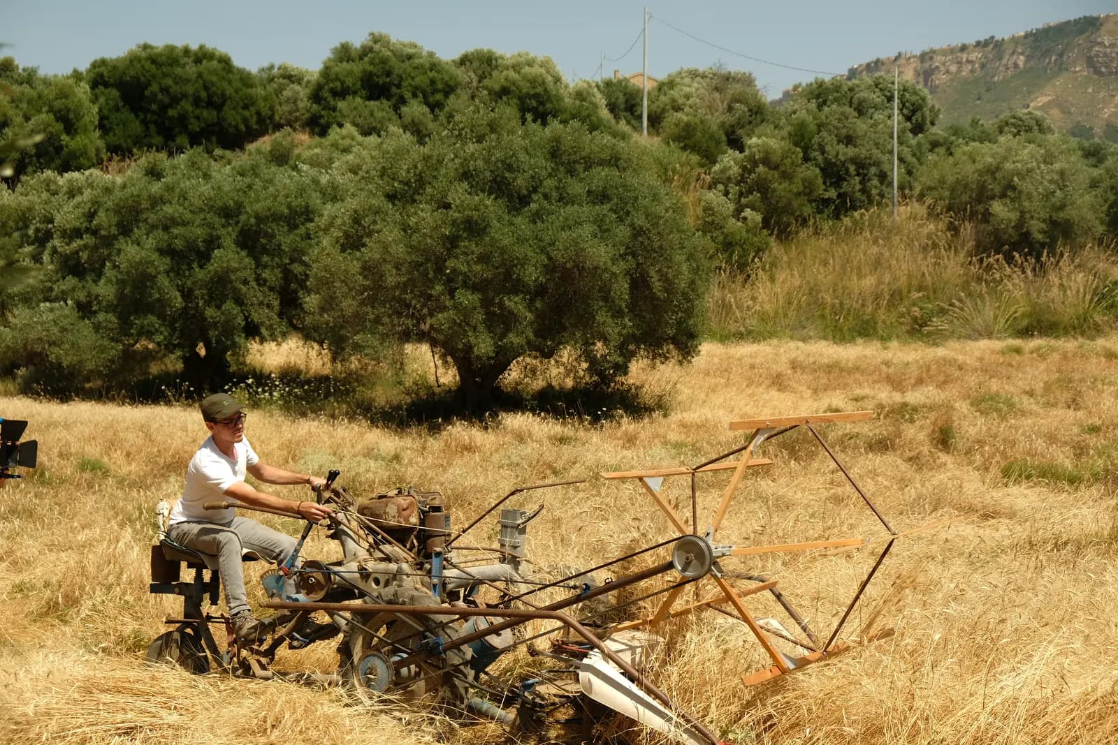 Farmer for a day: recovering and protecting biodiversity · 3