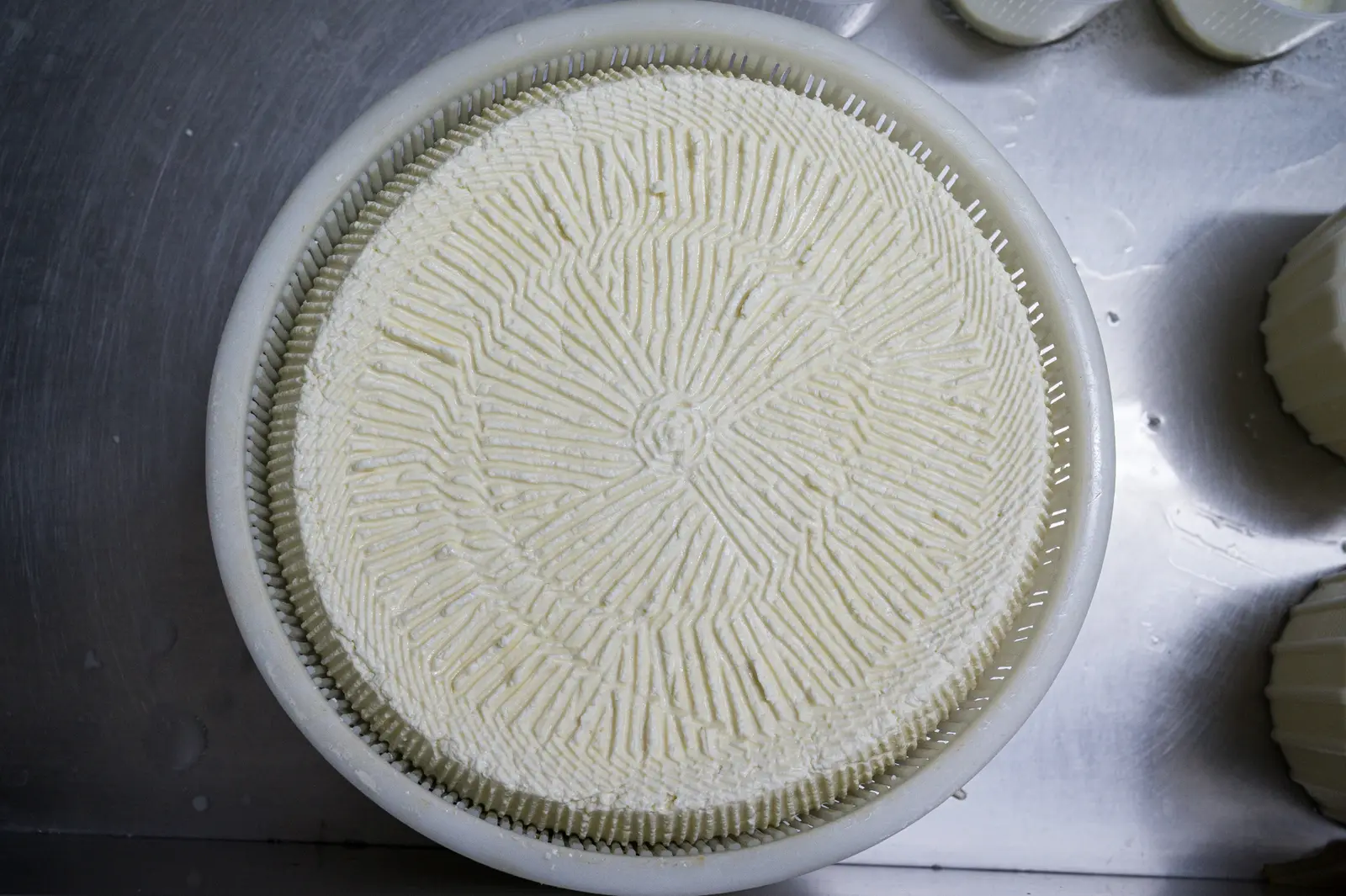 Cheesemakers for a day: the thrill of cheese, from milk to plate · 4