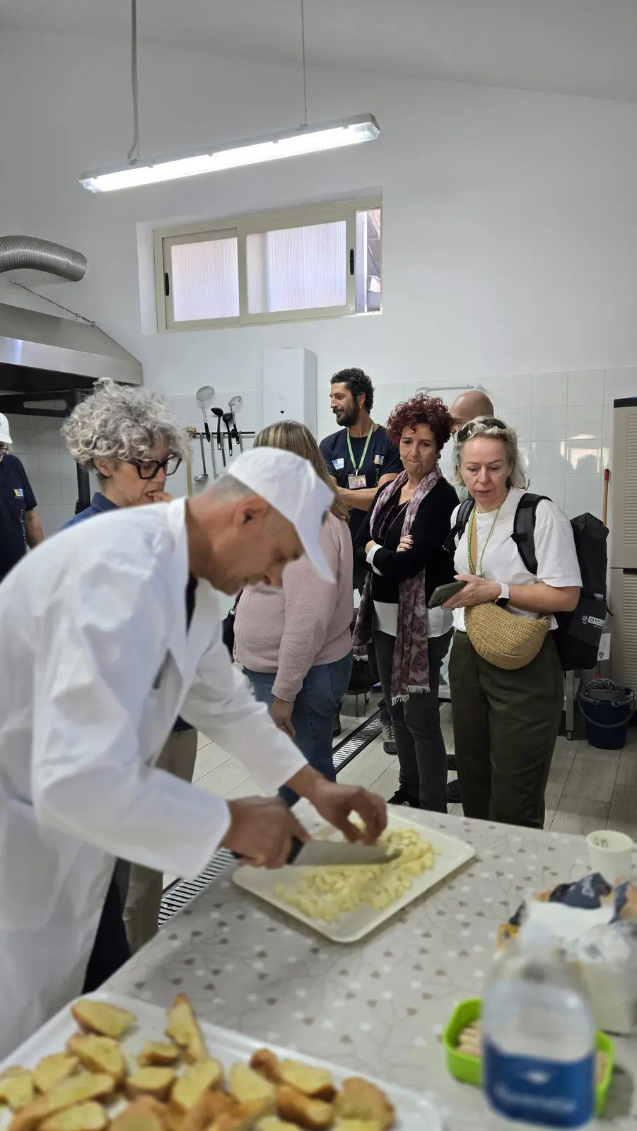Cheesemakers for a day: the thrill of cheese, from milk to plate · 7