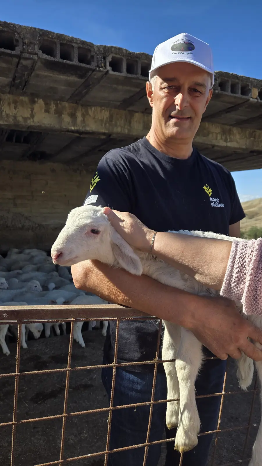 Cheesemakers for a day, with a surprise · 5