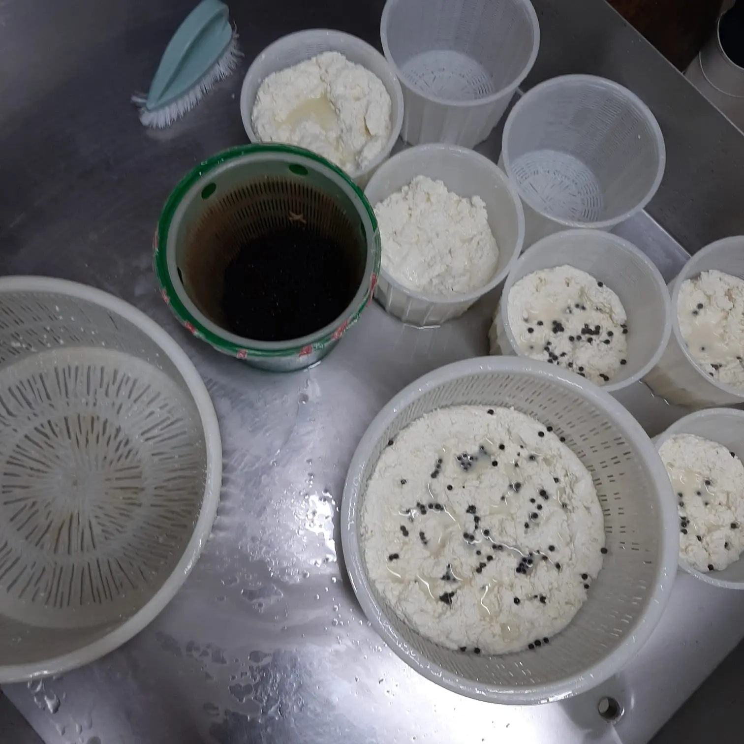 Cheesemakers for a day, with a surprise · 7