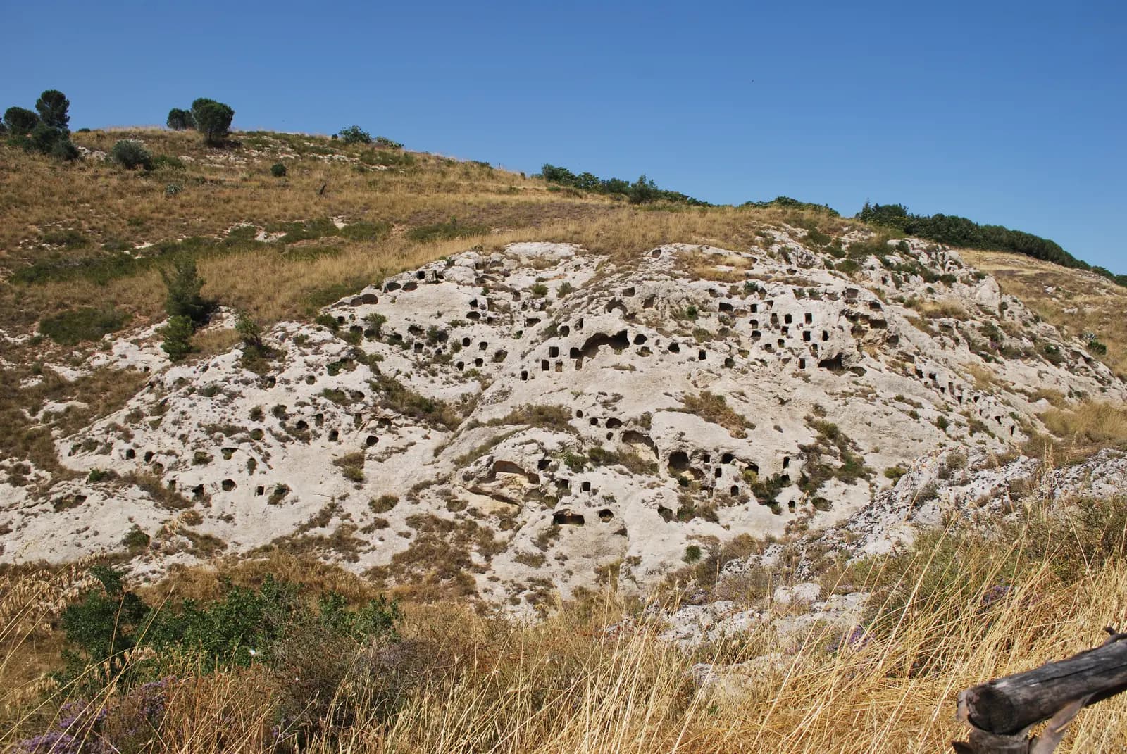 The city of silence: Realmese Necropolis · 3