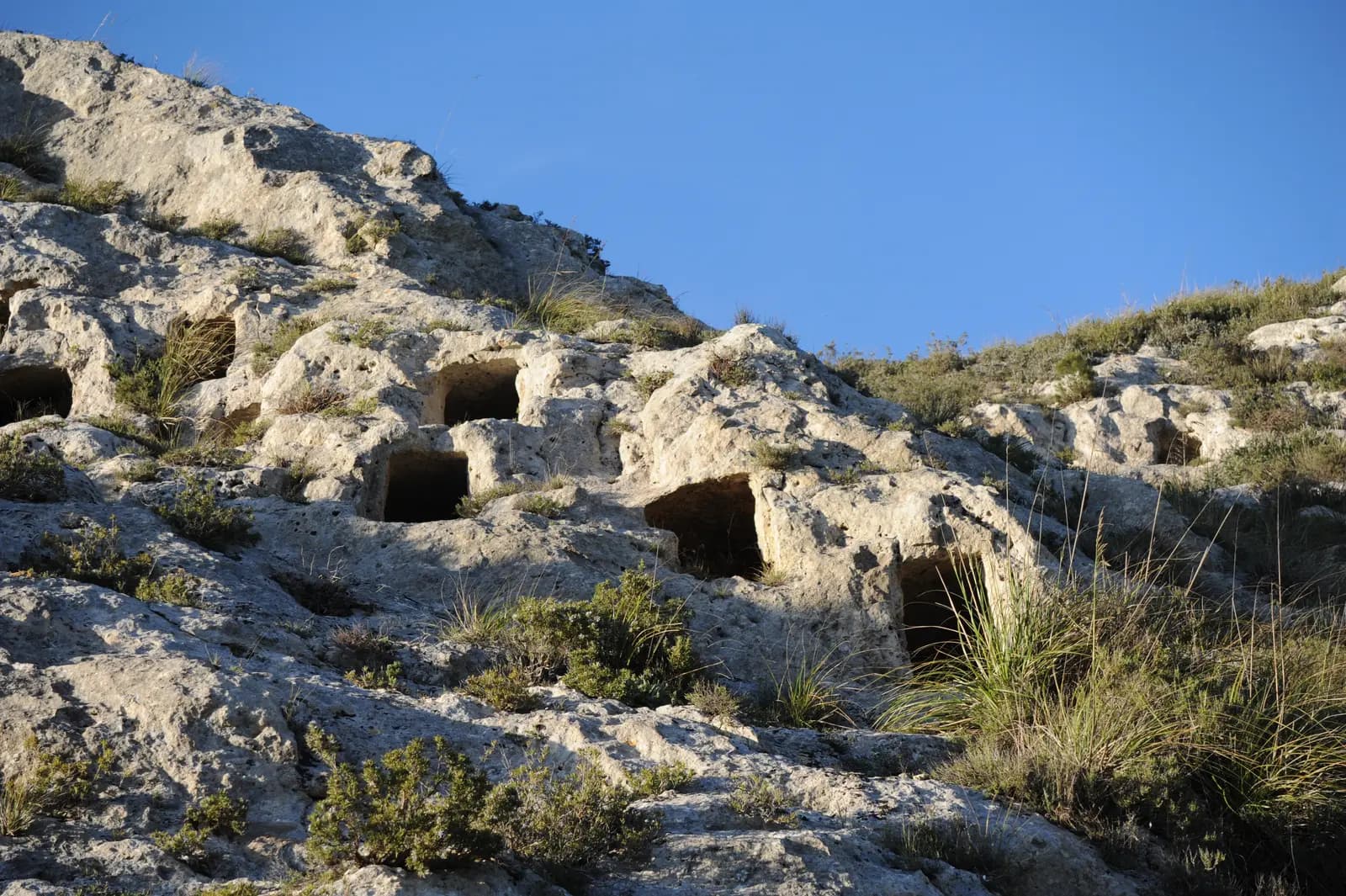 The city of silence: Realmese Necropolis · 5