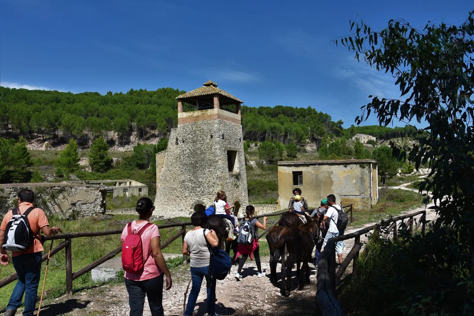 Full-day donkey trekking · 2