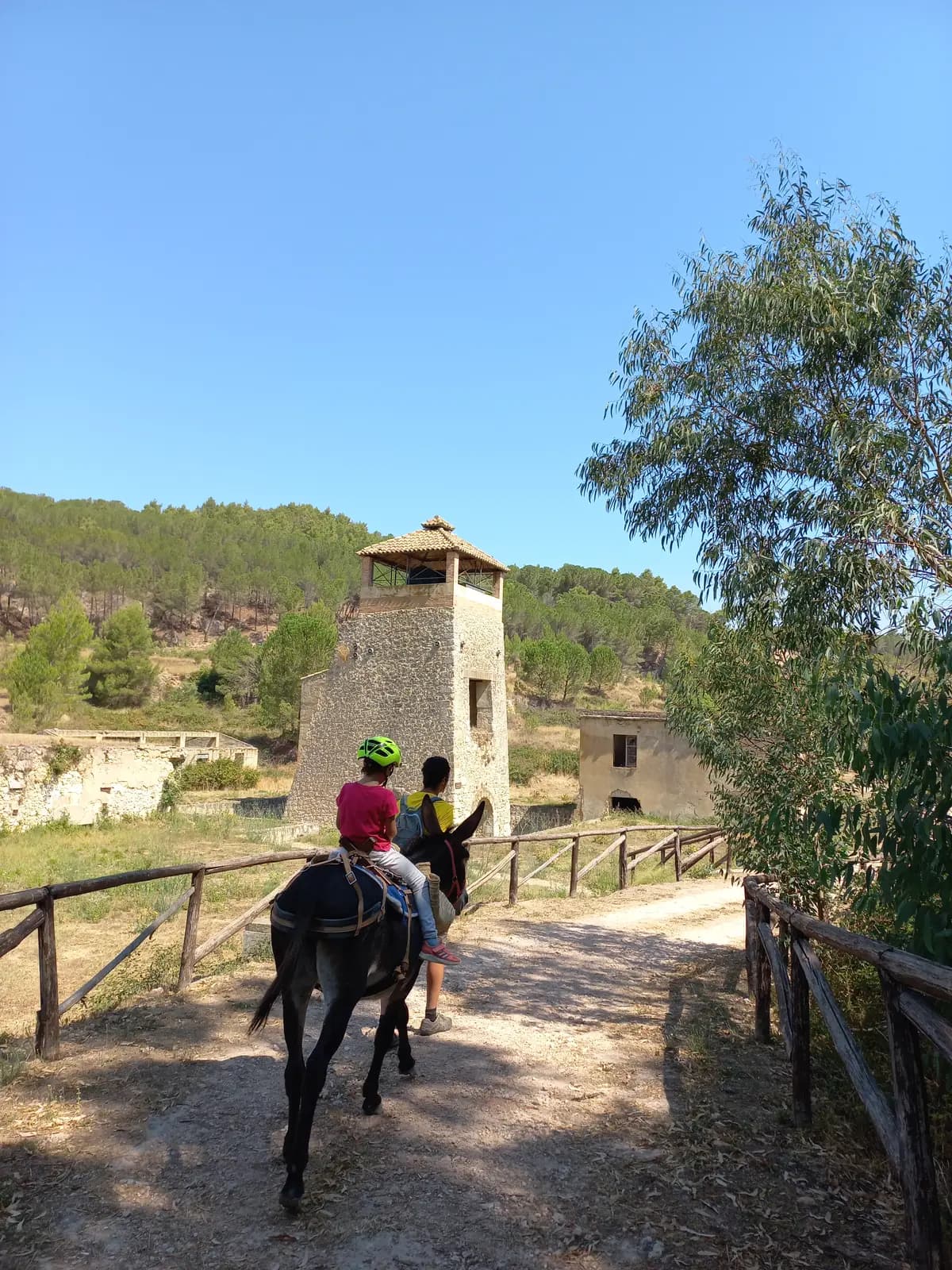 Full-day donkey trekking · 3