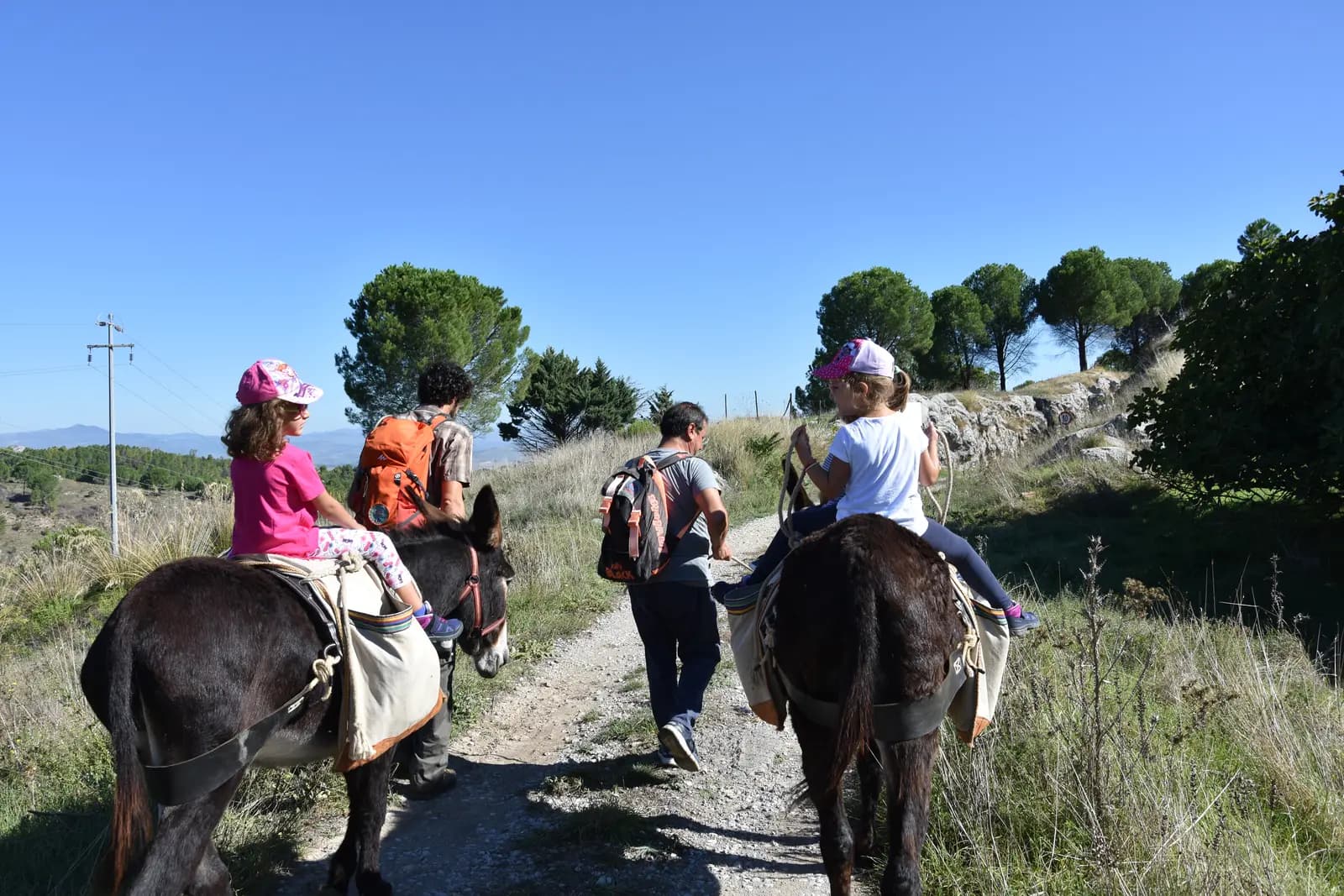 Half-day donkey trekking · 2
