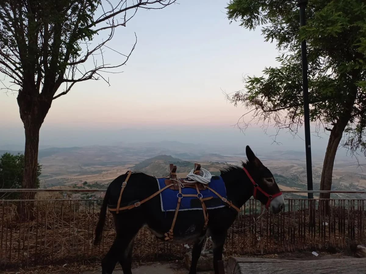 Trekking a piedi di mezza giornata