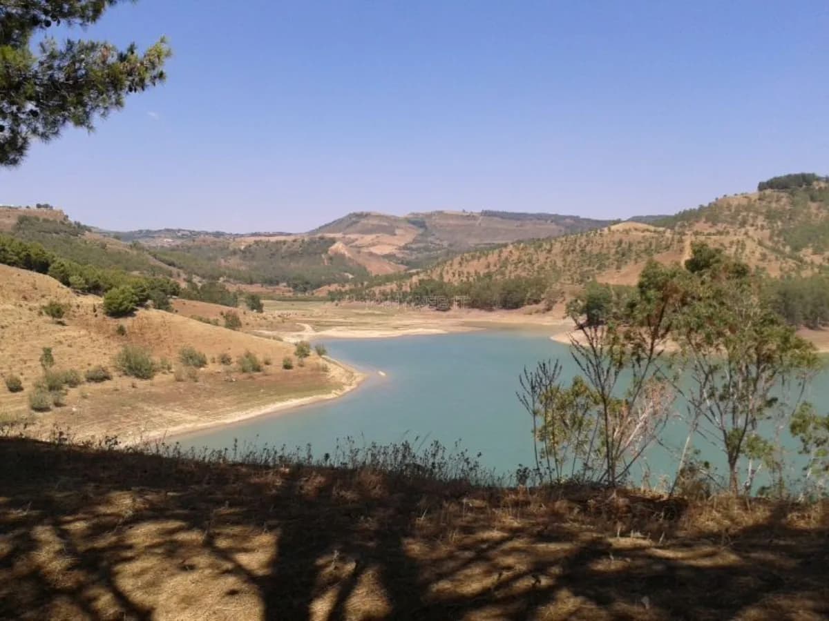 Lago Olivo