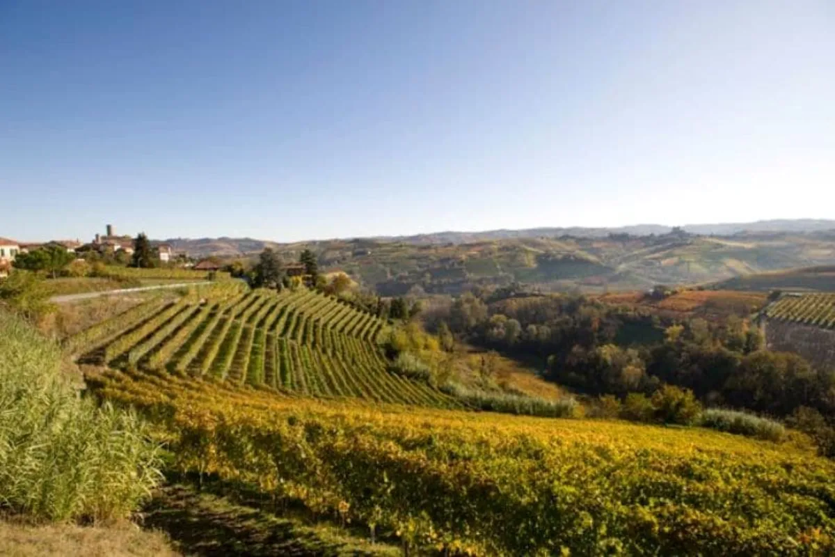 Rocche di Castiglione
