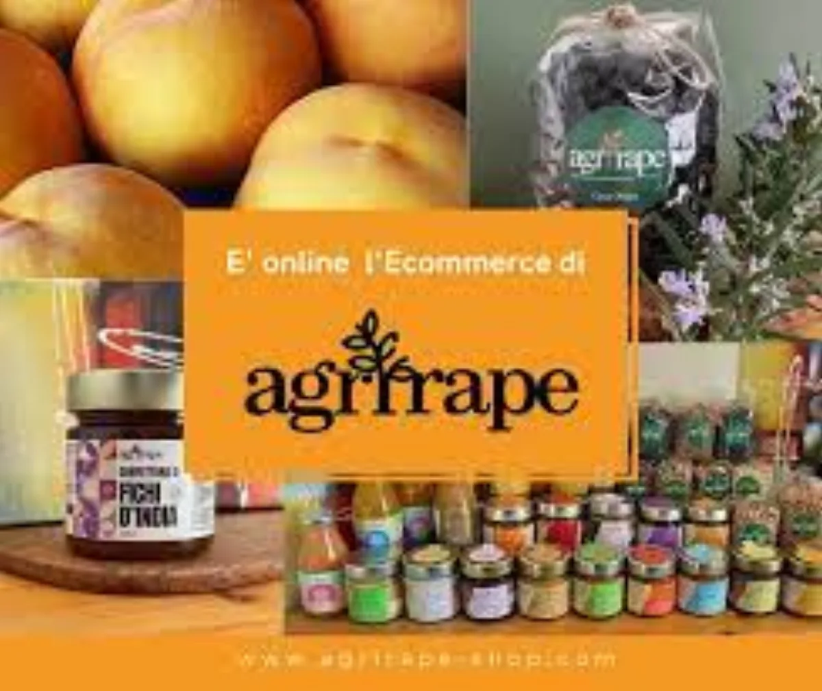 Azienda Agricola Agrirape