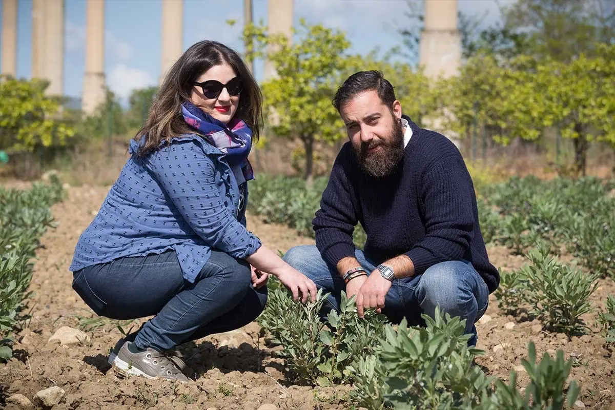 Alla raccolta dei legumi antichi