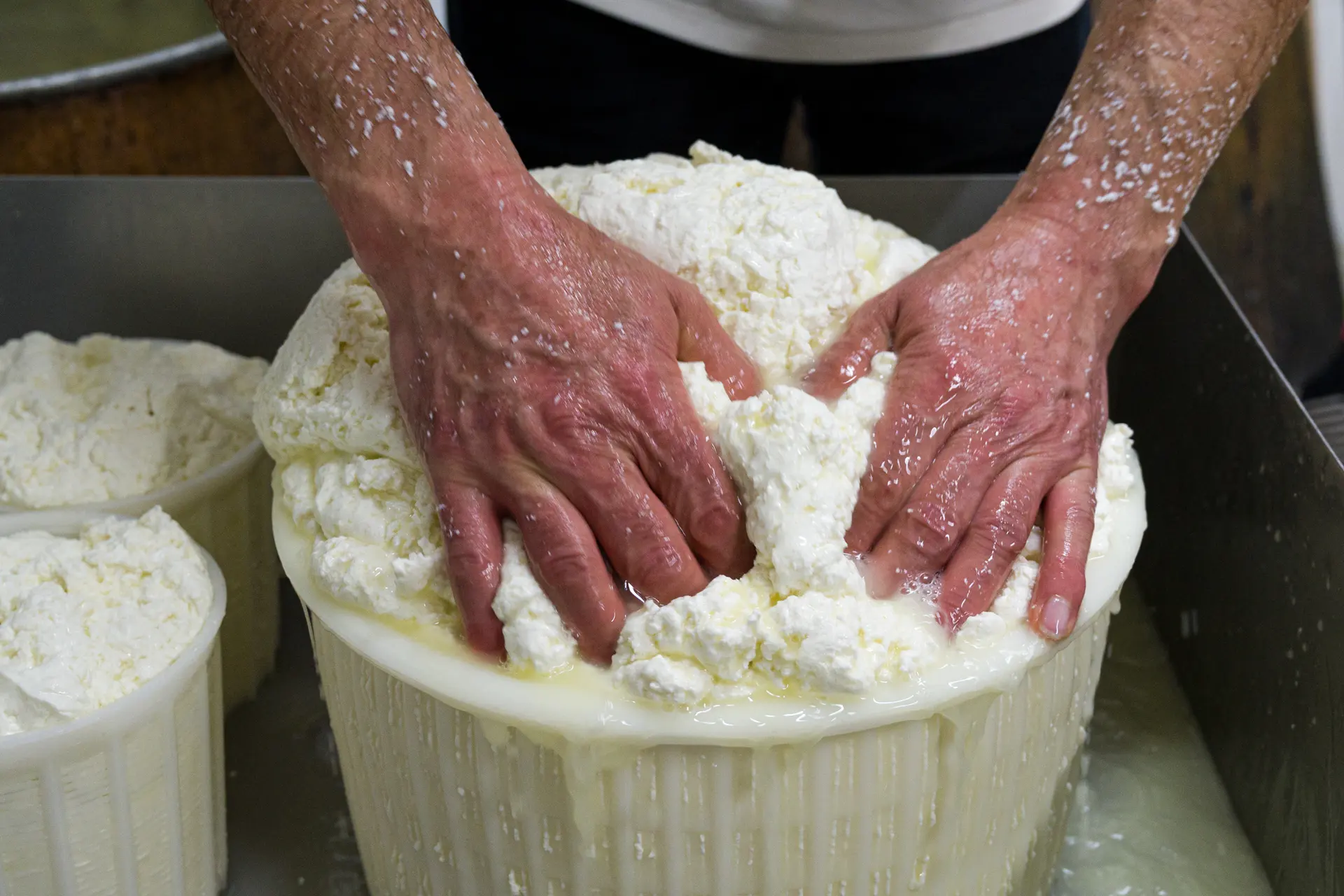 Cheesemakers for a day: the thrill of cheese, from milk to plate