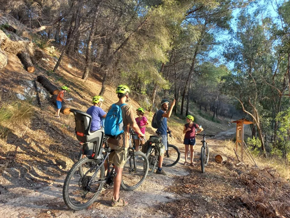 E-bike Tour: Riserva Monte Altesina