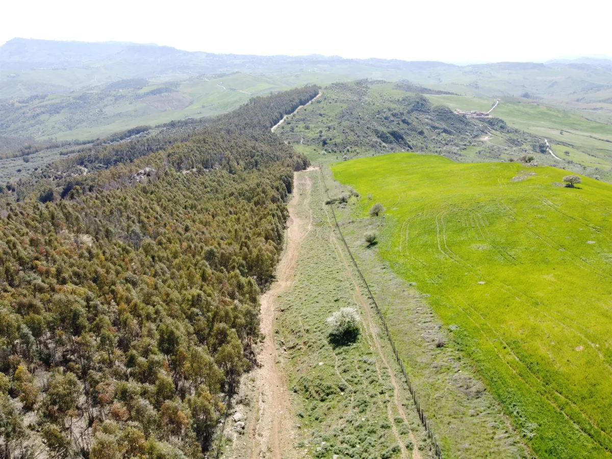 Fin su la vetta: la riserva Monte Altesina