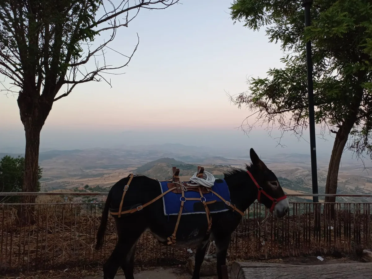 Trekking a piedi di mezza giornata