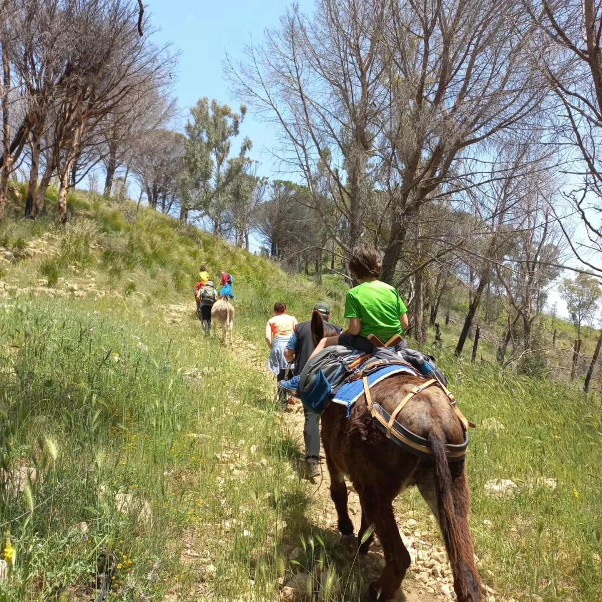 Trekking someggiato di un giorno